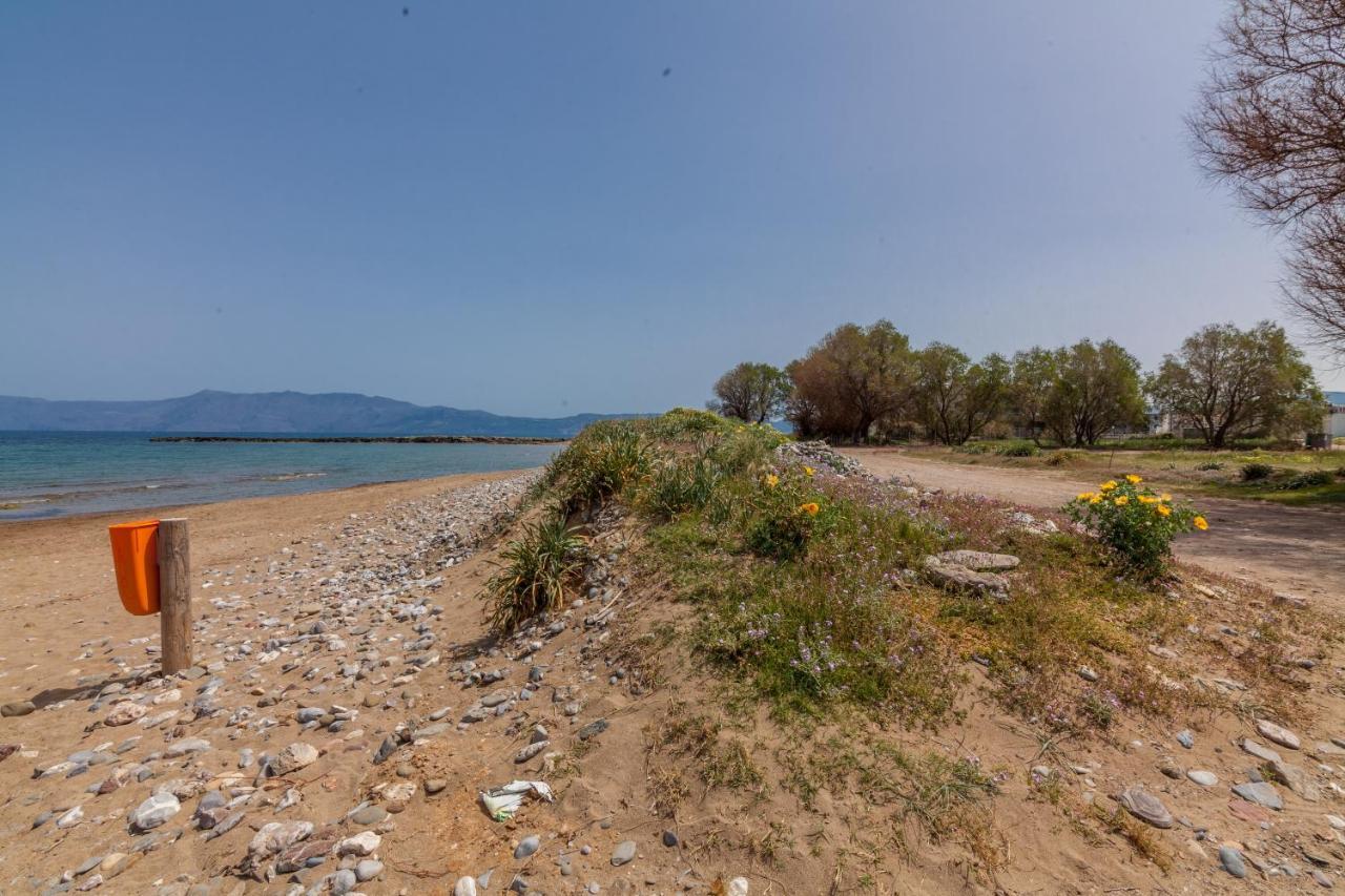 Kissamos Sea View Beach Apartments Bagian luar foto